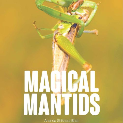 Mantids Book